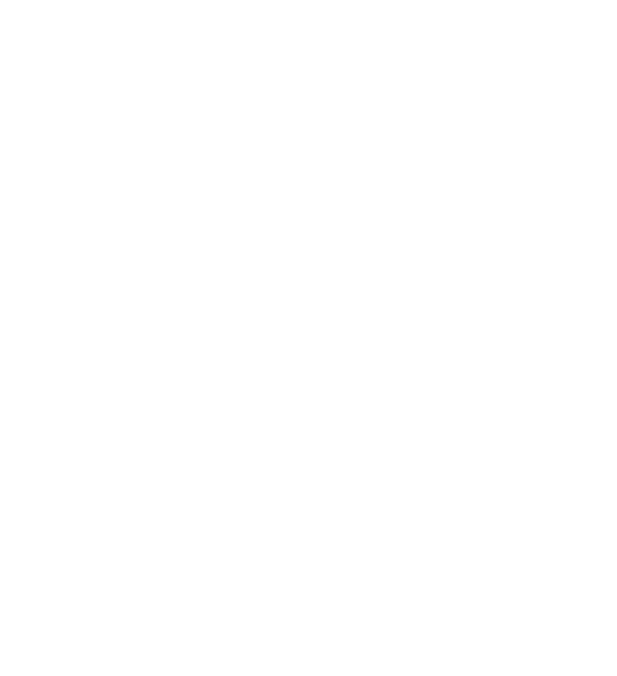 Icon roue blanc
