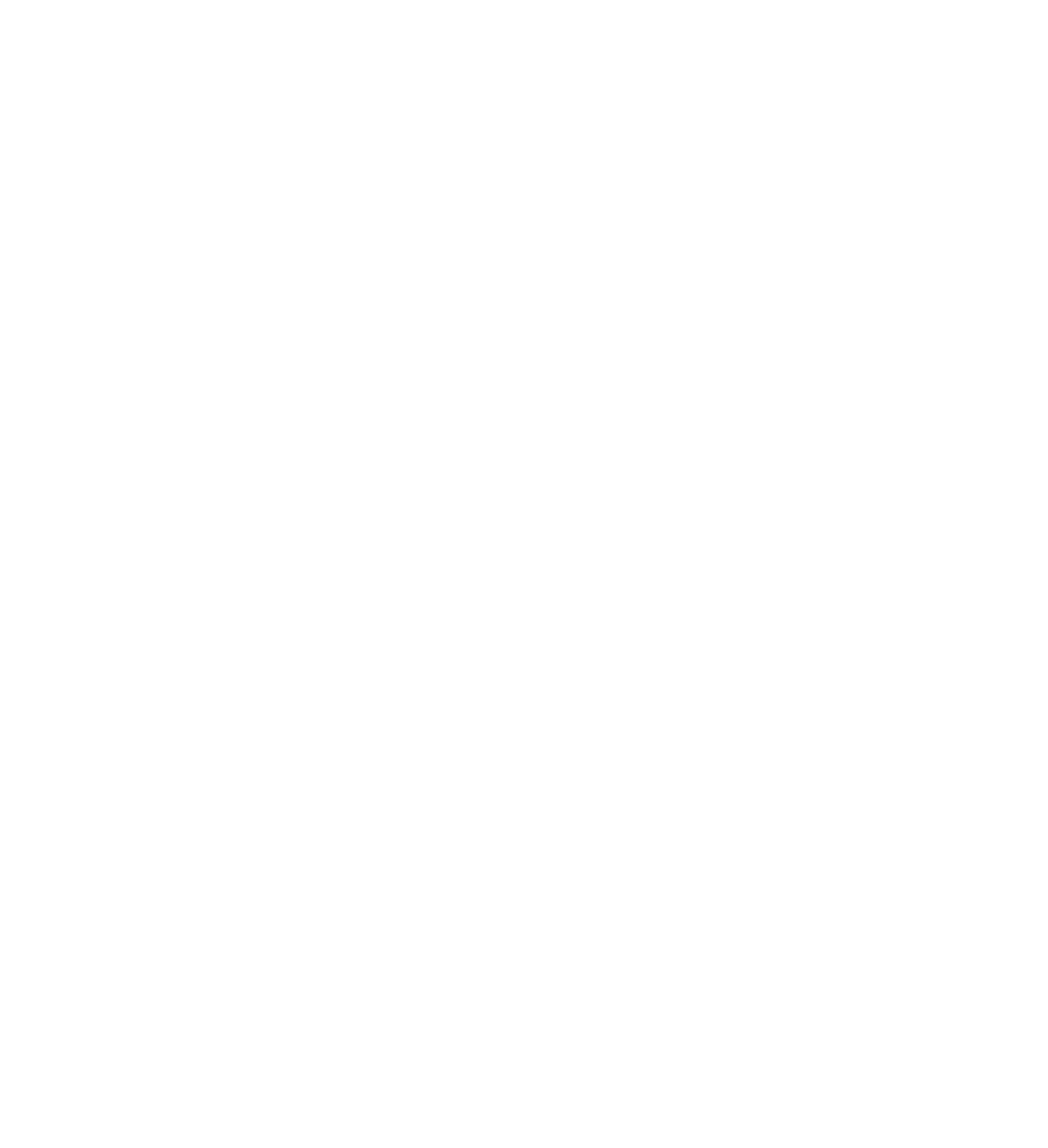 Icon volant blanc